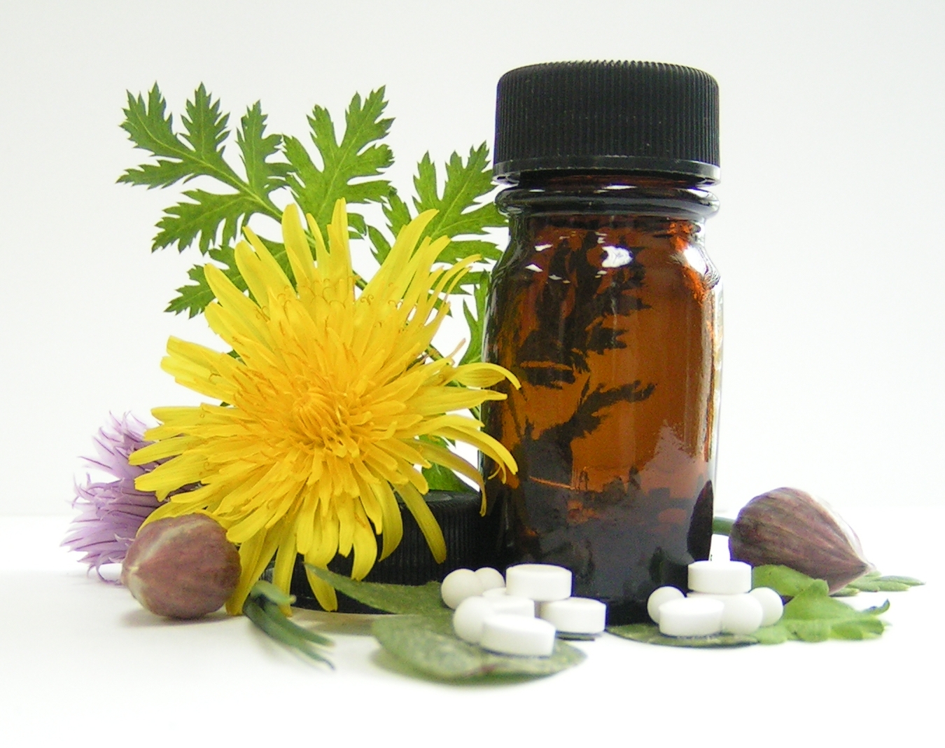 Origins of Homoeopathy